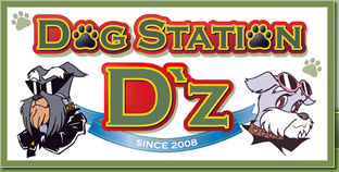 犬専門店 DOG STATION D'z
