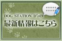 最新情報はこちら