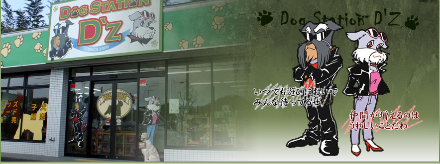 DOG STATION D'z