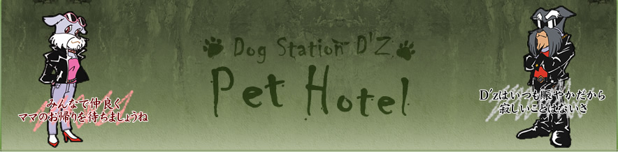 DOG STATION D'z Pet Hotel