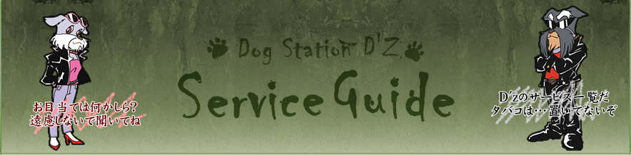 DOG STATION D'z Service Guide
